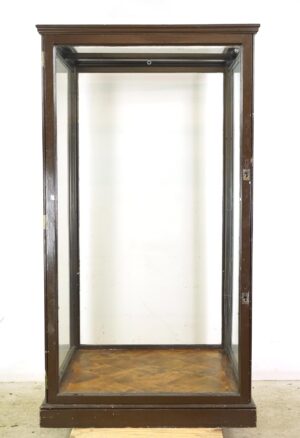 Cabinets - 1910s Huge English Museum Display Case Vitrine
