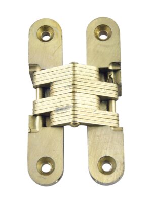 Brass invisible hinge with four mounting plates and a compact folded center section.