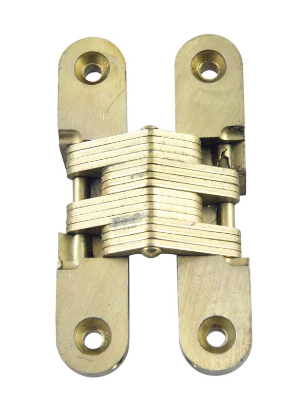 Brass invisible hinge with four mounting plates and a compact folded center section.