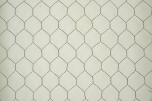 Reclaimed Windows - R289458