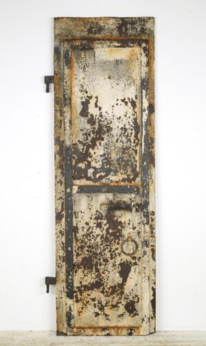 Specialty Doors - Industrial Two Panel Steel Door 66.125 x 20.875 in.