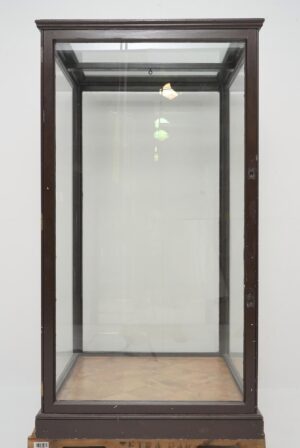 Cabinets - 1910s Antique English Museum Display Case Vitrine