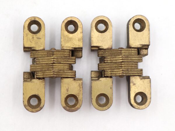 Pair of brass concealed cabinet hinges shown as two matching hinge assemblies, each with four rounded mounting plates and layered pivot sections, photographed from above.