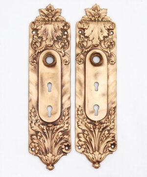 Pair of polished brass door back plates with ornate Italian Renaissance scroll and leaf detailing, each showing a circular opening and double keyholes.