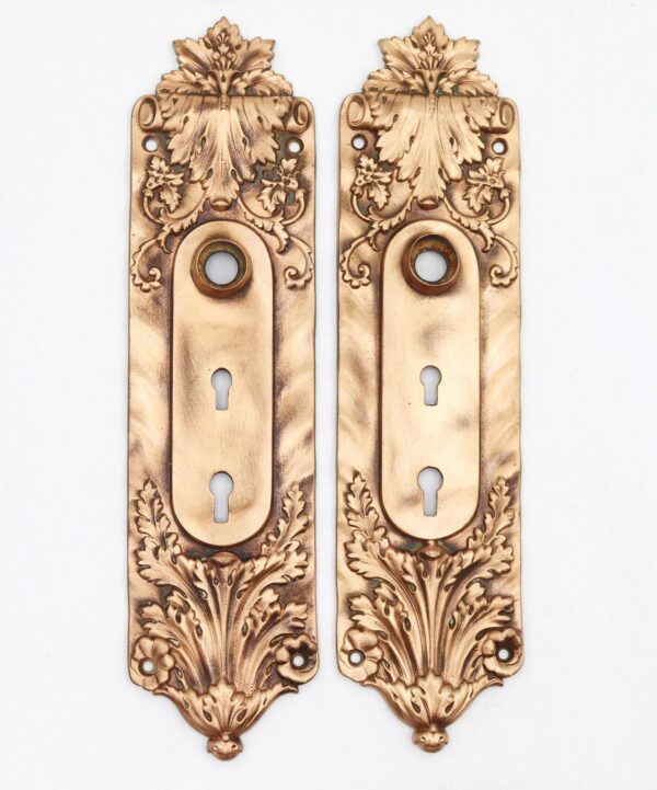 Pair of polished brass door back plates with ornate Italian Renaissance scroll and leaf detailing, each showing a circular opening and double keyholes.