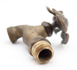 Antique-style brass garden spigot with a frog-shaped handle and threaded outlet, shown in close-up.